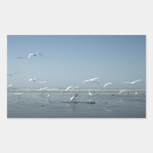 Adesivo Retangular Belas guindastes voando sobre o Balé da natureza