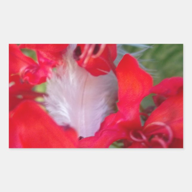 Adesivo Retangular Beleza Delicada: Flor Vermelho com Pena Branca (Frente)