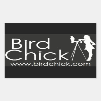 Adesivo Retangular Birdchick Stickers