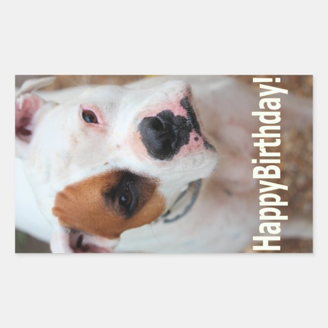 Adesivo Retangular Birthday Boop (Frente)