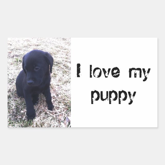Adesivo Retangular Black Labrador Retriever Puppy (Frente)