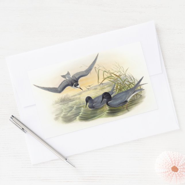 Adesivo Retangular Black Tern (Envelope)