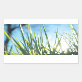 Adesivo Retangular Blades Sunlit