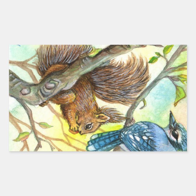 Adesivo Retangular Blue Jay E Squirrel (Frente)