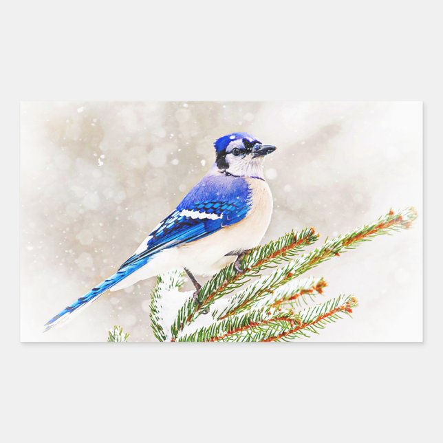 Adesivo Retangular Blue Jay no inverno (Frente)