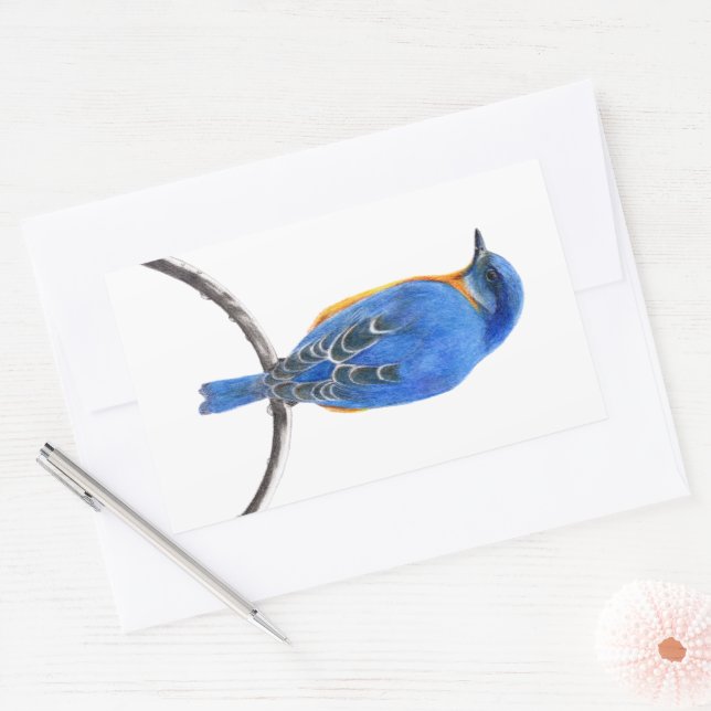 Adesivo Retangular Bluebird (Envelope)