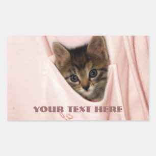 Adesivo Retangular Boleia