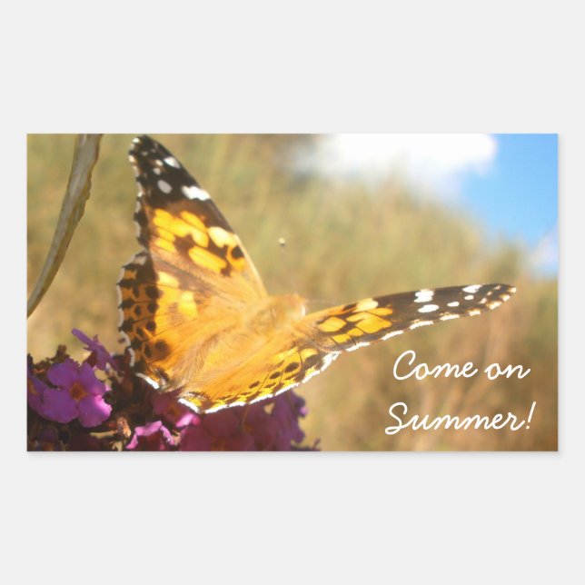 Adesivo Retangular Borboleta (Frente)