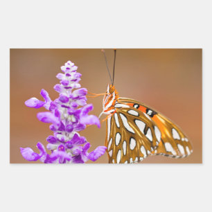 Adesivo Retangular Borboleta alaranjada brilhante do Fritillary do