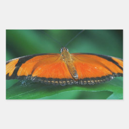 Adesivo Retangular Borboleta laranja brilhante e preta na folha