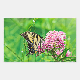 Adesivo Retangular Borboleta oriental de Swallowtail do tigre