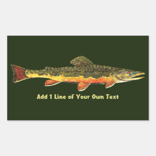 Adesivo Retangular Brook Trout Fish