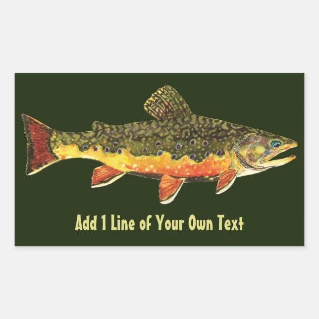 Adesivo Retangular Brook Trout Pescador (Frente)