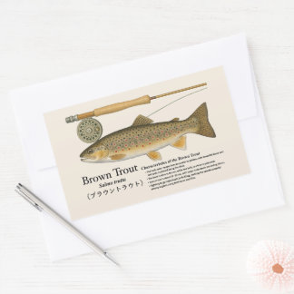 Adesivo Retangular Brown Trout (Salmo trutta) – English Illust