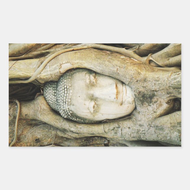 Adesivo Retangular Buda Cabeça na Árvore Fig. Ayutthaya, Tailândia (Frente)