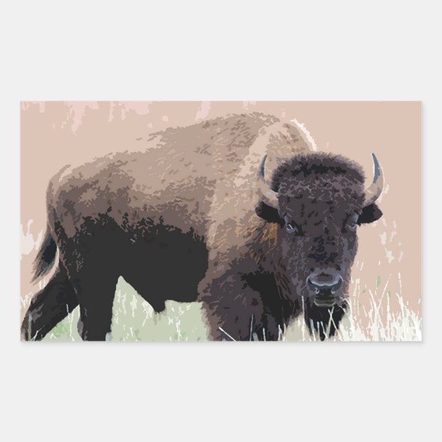 Adesivo Retangular Buffalo / Bison (Frente)