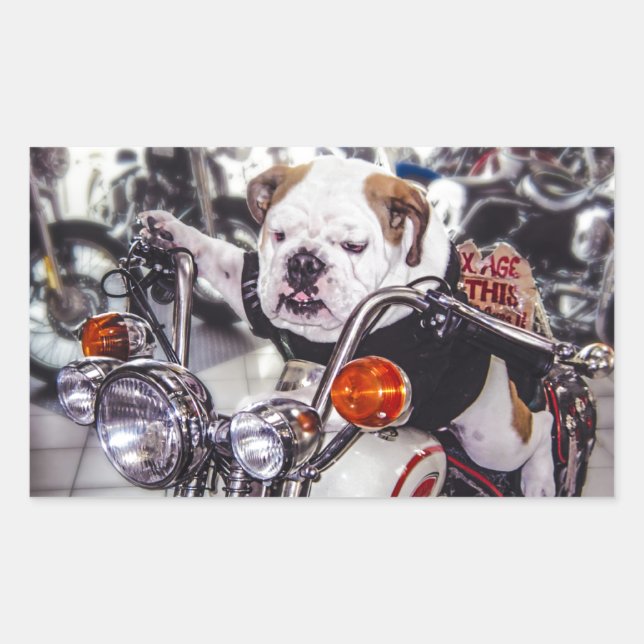 Adesivo Retangular Bulldog em Motocicleta (Frente)