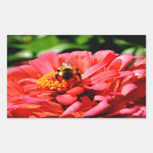 Adesivo Retangular Bumble floral de coral vermelho elegante