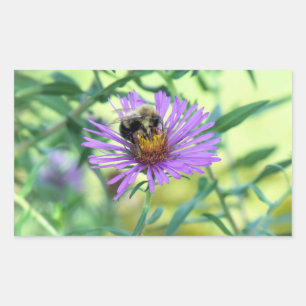 Adesivo Retangular Bumblebee na margarida roxa