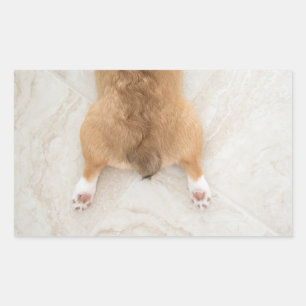 Adesivo Retangular bumbum do corgi