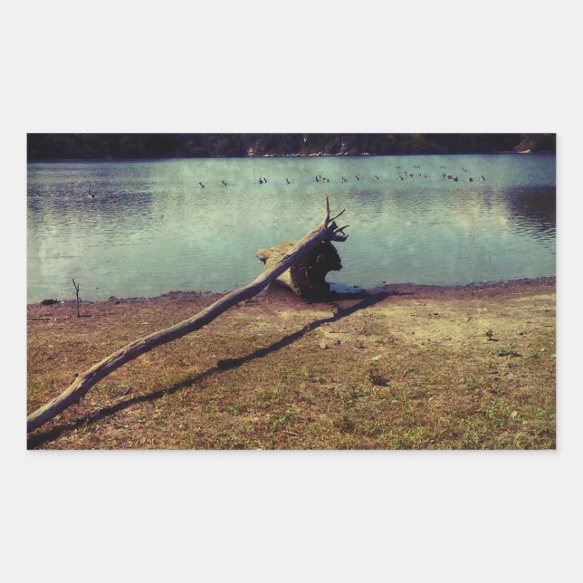 Adesivo Retangular Cabeça (Frente)