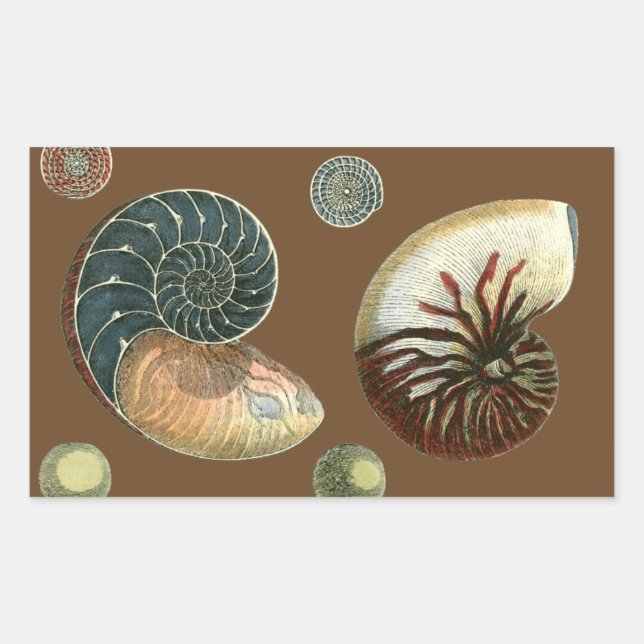 Adesivo Retangular Cacau (Frente)