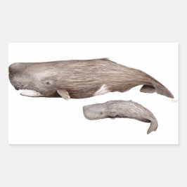 Adesivo Retangular Cachalote, madre y cría