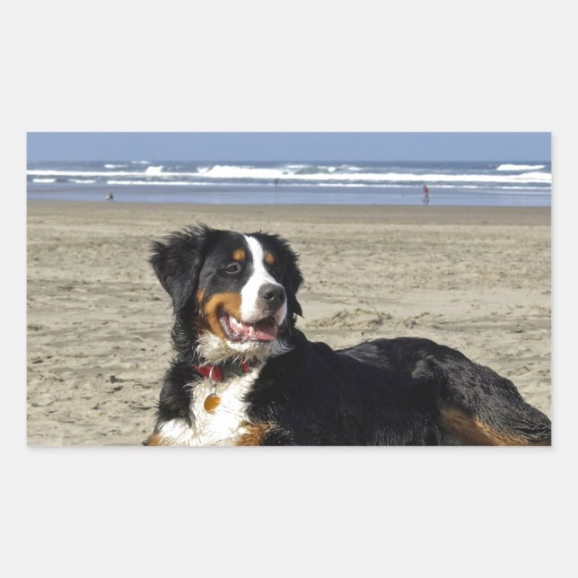 Adesivo Retangular Cachorro da Montanha Bernese (Frente)