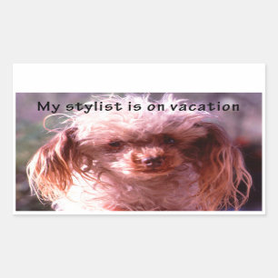 Adesivo Retangular Cachorro de Cabelo