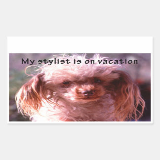 Adesivo Retangular Cachorro de Cabelo