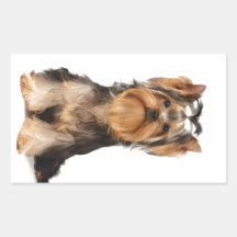 Cachorro do Yorkshire Terrier