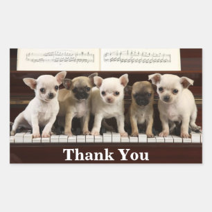 Adesivo Retangular Cachorros Chihuahua Obrigado (Chewawa Chiwawa)