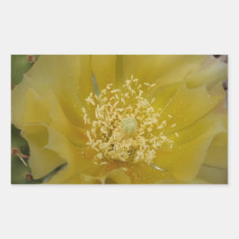 Adesivo Retangular Cacto Amarelo em Flor