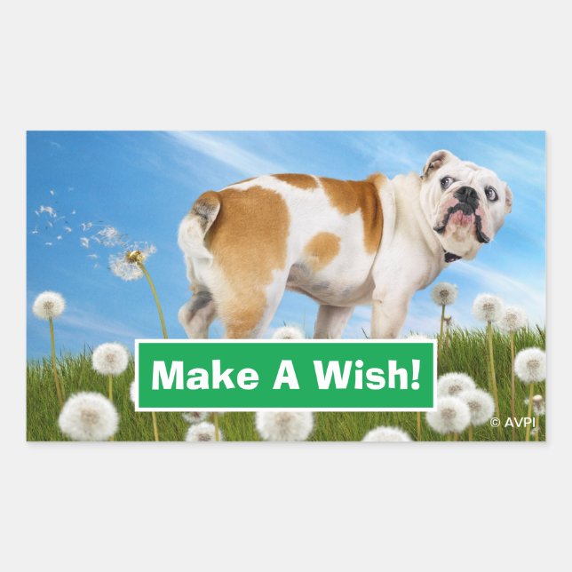 Adesivo Retangular Cães com Dandelion (Frente)