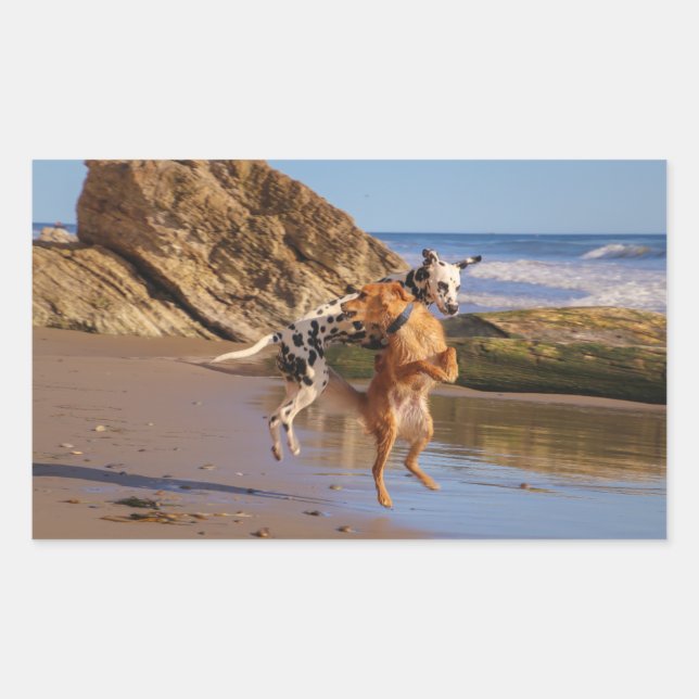 Adesivo Retangular cães felizes (Frente)