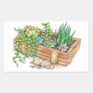 Adesivo Retangular Caixa do plantador do Succulent
