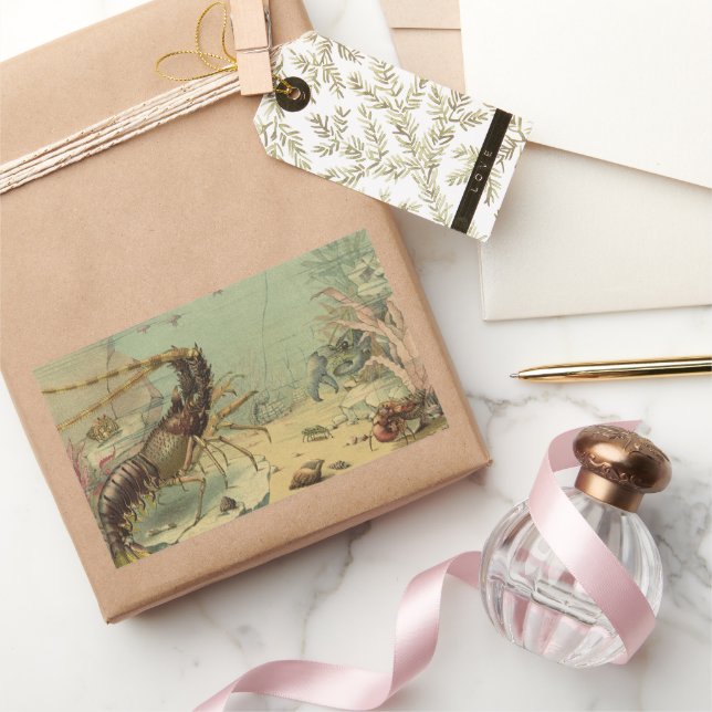 Adesivo Retangular Camarão De Vida Submarino, Animais Do Oceano Vinta (Presentear)