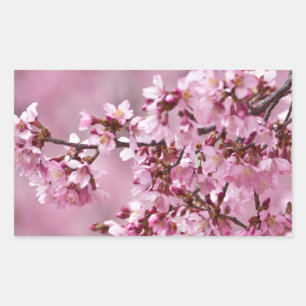 Adesivo Retangular Camélias Sakura Camadas Rosa Pastel