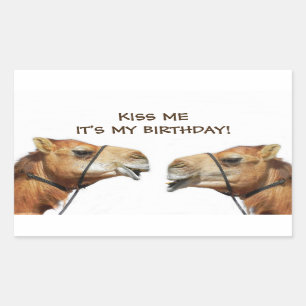 Adesivo Retangular Camelos Beijando Pau Engraçado