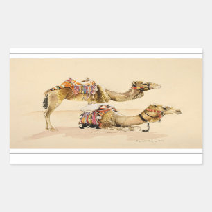 Adesivo Retangular Camelos de PETRA 2007