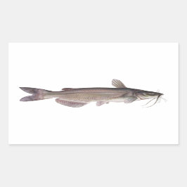 Adesivo Retangular Capturas do Canal - Pesca Água fresca