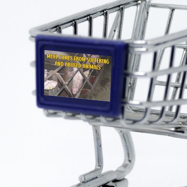Adesivo Retangular Carne vem do sofrimento, Ativismo Vegan (Criador carregado)
