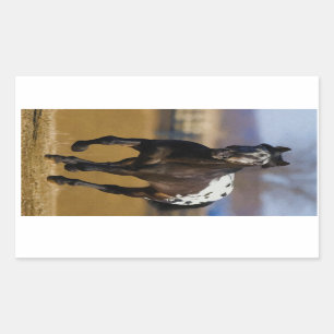 Adesivo Retangular Carregador