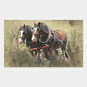 Adesivo Retangular Cartão-postal Vintage Weathered Clydesdale