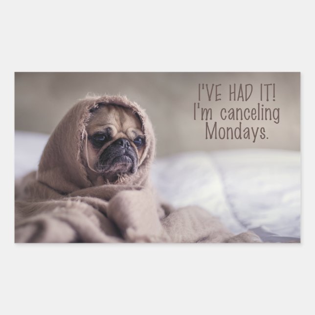 Adesivo Retangular Cartazes de cães engraçados (Frente)