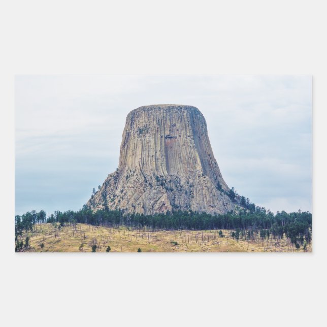 Adesivo Retangular Casa de um Urso (Frente)