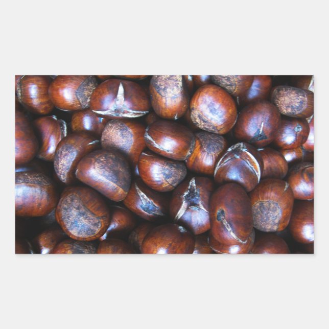 Adesivo Retangular Castanhas (Frente)