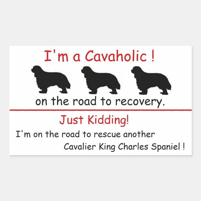 Adesivo Retangular Cavaholic Cavalier King Charles Sticker (Frente)