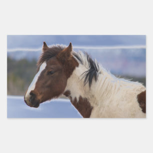 Adesivo Retangular Cavalo com três cores