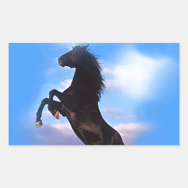 Adesivo Retangular Cavalo de Criação (Frente)